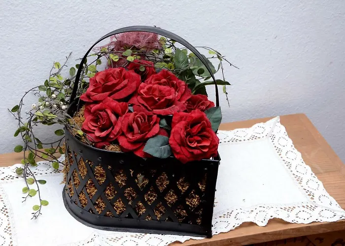 Apartmán Freundsheim