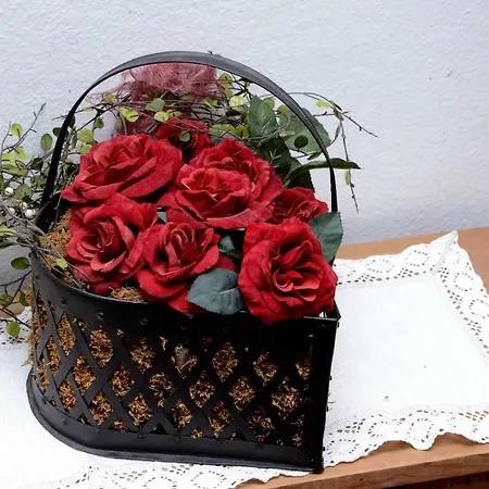 Apartment Freundsheim